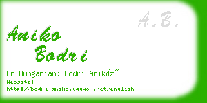 aniko bodri business card